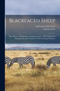 Blackfaced Sheep