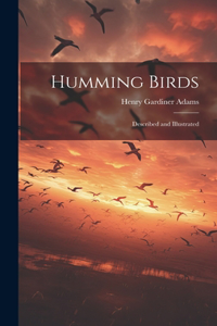Humming Birds