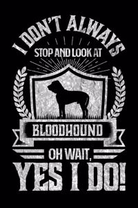 I Don't Always Stop and Look At Bloodhound OH Wait, Yes I Do!