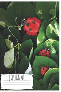 Journal