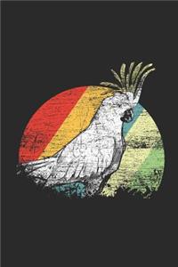 Parrot Bird