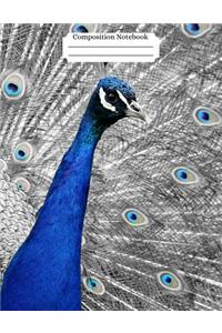 Composition Notebook Peacock Design Vol 6