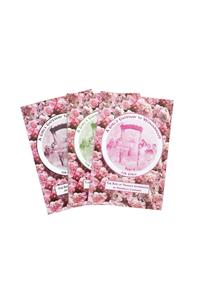 A Girl's Gateway to Womanhood Three Set