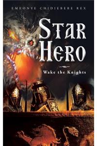 Star Hero