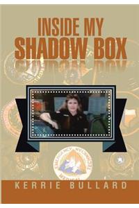 Inside My Shadow Box