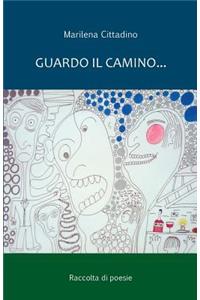 Guardo il camino...