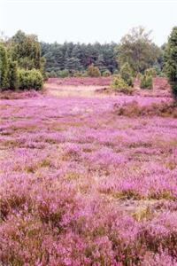 A Gorgeous Field of Misty Purple Heather Journal