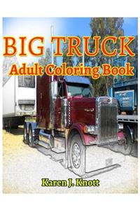 BIG TRUCK Adults coloring books