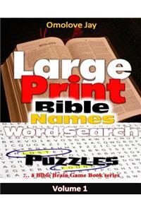 Large Print Bible Names Word Search Puzzles