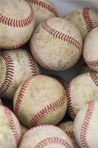 Bucket Full of Baseballs Journal