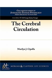 The Cerebral Circulation