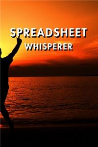 Spreadsheet Whisperer