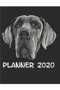 Planner 2020