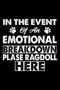 In The Event Emotional Breakdown Place Ragdoll Here