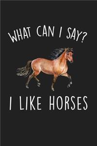 What Can I Say I Like Horses