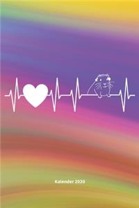 Herzschlag Meerschweinchen