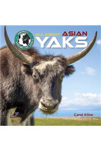 All about Asian Yaks