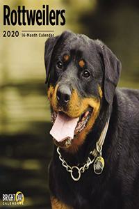 ROTTWEILERS WALL CALENDAR 2020