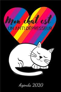 Mon chat est un antidépresseur