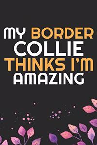 My Border Collie Thinks I'm Amazing