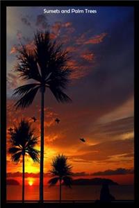 Sunsets and Palm Trees