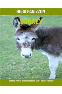 Donkey: Amazing Photos & Fun Facts Book about Donkey for Kids