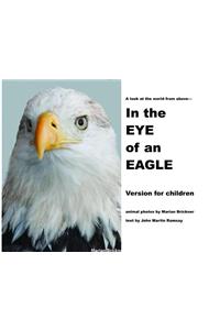 In the Eye of an Eagle