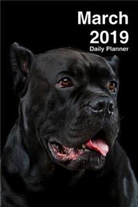March 2019 Daily Planner