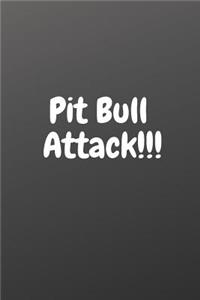 Pit Bull Attack!!!