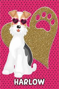Foxy Life Harlow