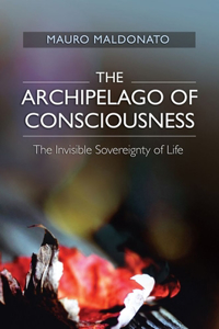 Archipelago of Consciousness