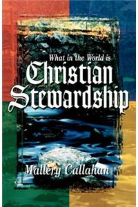 What in the World is Christian Stewardship