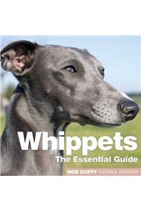 Whippets
