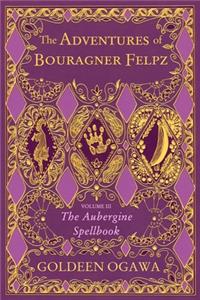 The Adventures of Bouragner Felpz, Volume III