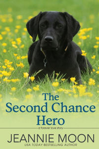 Second Chance Hero