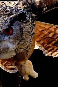 Owl in Flight Notebook