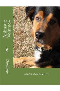 Animaux Volume4