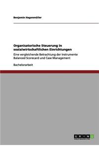 Organisatorische Steuerung in sozialwirtschaftlichen Einrichtungen
