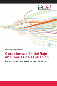 Caracterización del flujo en tuberías de aspiración