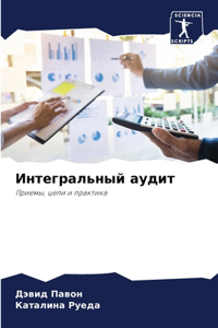 Интегральный аудит