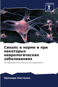 Синапс в норме и при некоторых неврологичk