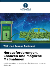 Herausforderungen, Chancen und mögliche Maßnahmen