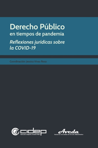 Derecho Público en tiempos de pandemia