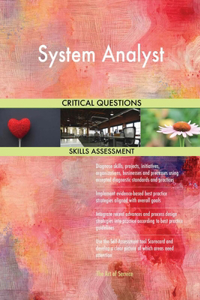 System Analyst Critical Questions Skills Assessment