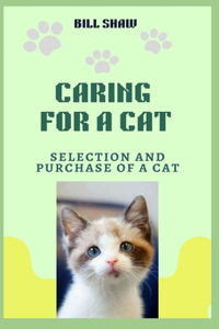 Caring for a Cat