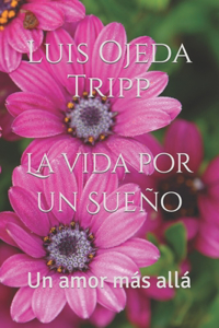 vida por un Sueño