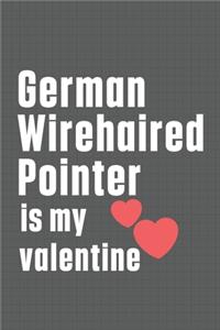 German Wirehaired Pointer is my valentine