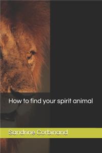 How to find your spirit animal