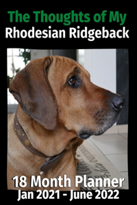 Thoughts of My Rhodesian Ridgeback