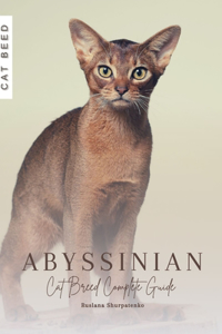 Abyssinian